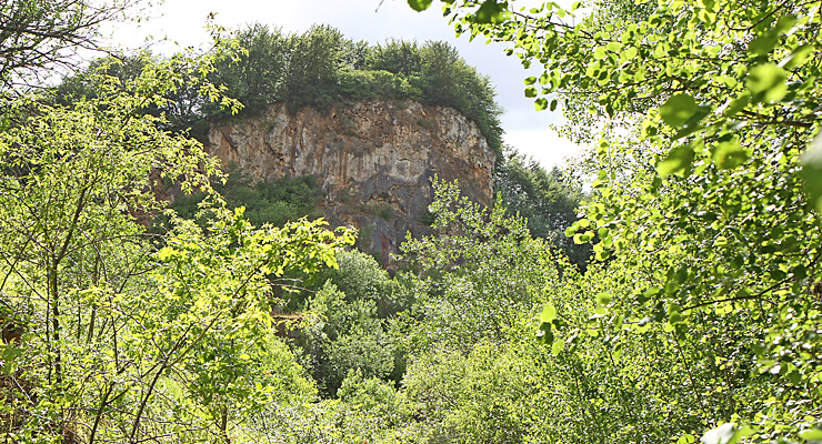 Geologie zum Anfassen: Der ehemalige Kalksteinbruch "Weinberg" in Kerpen Weinberg Kerpen, Foto: Jochen Hank